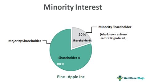 what is total equity gross minority interest|Minority interest: Understanding Minority Interest in Shareholders: .